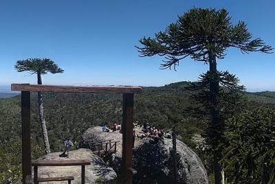 Tour al Parque Nacional Nahuelbuta Tour al Parque Nacional Nahuelbuta