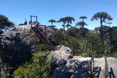 Tour a la Piedra del Águila y Lago Lanalhue Tour a la Piedra del Águila y Lago Lanalhue