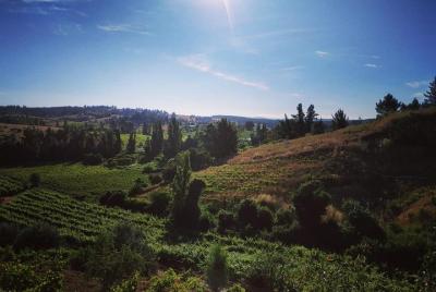 Tour por el Valle del Itata Tour por el Valle del Itata