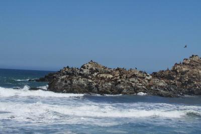 Tour por Cobquecura Tour por Cobquecura