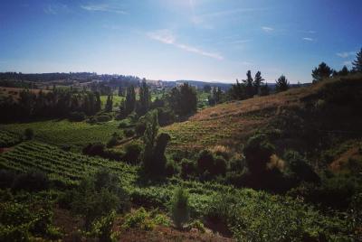 Tour por la Provincia de Itata Tour por la Provincia de Itata