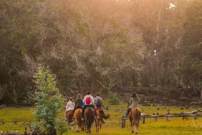 Cabalga al punto más alto de la Isla y deja tu huella plantando tu propio Árbol
