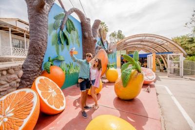 Tour Privado Oficinas Salitreras y Oasis de Pica