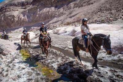 Tour privado de Cabalgata en el altiplano (Huasquiña)