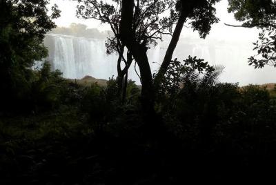 Tour guiado de las cataratas