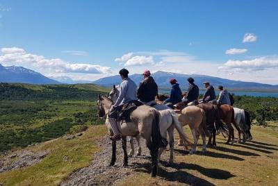 Visita a la estancia patagónica en Bahía Esperanza