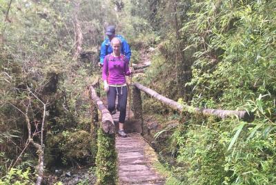 Excursión de un día a la caminata Cochamo.