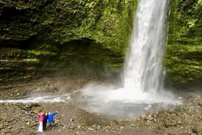 Tour de día completo en el circuito del lago Llanquihue
