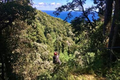 Tour de medio día Canopy Chile y Cascada Las Cascadas