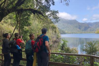 Senderismo Parque Nacional Alerce Andino 8-19km