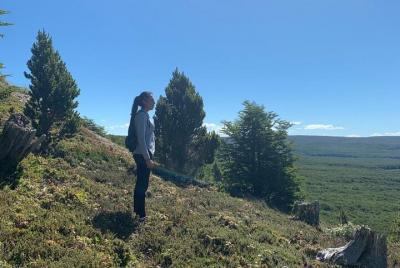 Tour privado a la Reserva Nacional de Magallanes y la ciudad de Punta Arenas