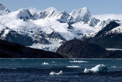 Experiencia de día completo en la Antártica chilena
