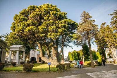 City Tour Punta Arenas y Nao Victoria