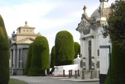Tour Privado por Punta Arenas & Parque del Estrecho 