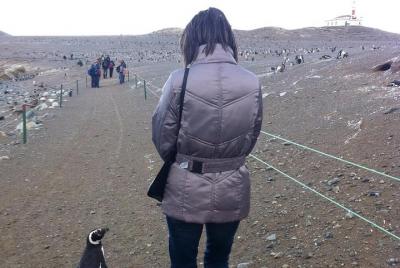 Reserva de pingüinos en Magdalena en el estrecho de Magallanes