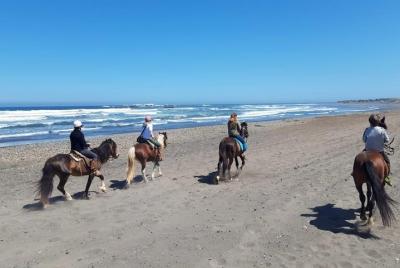 Excursión Privada para Cruceros en San Antonio: Cabalgata en la Playa y Viña del Mar Excursión Privada para Cruceros en San Antonio: Cabalgata en la Playa y Viña del Mar