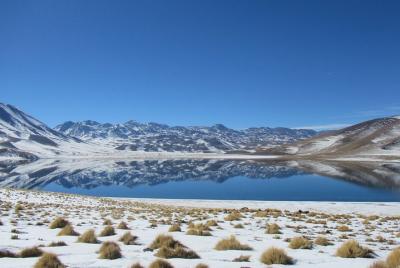 Tour en grupos pequeños a las lagunas altiplánicas, sal de Atacama y reserva de flamencos Tour en grupos pequeños a las lagunas altiplánicas, sal de Atacama y reserva de flamencos