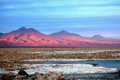 Excursión de un día al Salar de Atacama y lagunas altiplánicas