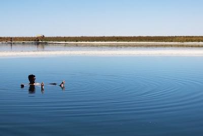 Laguna Cejar Laguna Cejar