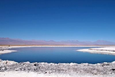 Laguna Cejar y Ojos del Salar en Atacama Laguna Cejar y Ojos del Salar en Atacama
