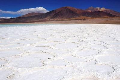 Salinas y lagunas altiplánicas en Atacama Salinas y lagunas altiplánicas en Atacama