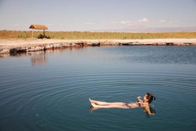 Tour de lagunas de Cejar y Tebinquinche desde San Pedro de Atacama
