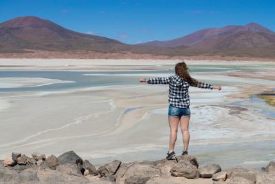 Salar de Puna - Tour de día completo - San Pedro de Atacama - Debe visitar Salar de Puna - Tour de día completo - San Pedro de Atacama - Debe visitar
