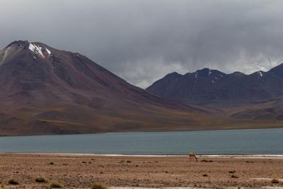Lagunas Altiplanicas Lagunas Altiplanicas