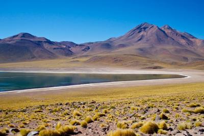 Lagunas altiplánicas con piedras rojas Lagunas altiplánicas con piedras rojas