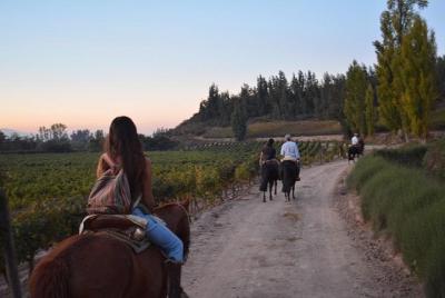 Recorrido vinícola a caballo y parrilla campestre desde Santiago Recorrido vinícola a caballo y parrilla campestre desde Santiago