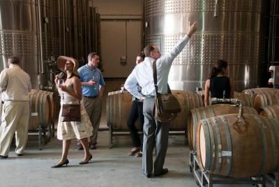 Valle del Maipo para los amantes del vino Valle del Maipo para los amantes del vino