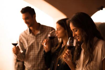 Excursión de medio día para grupos pequeños a la bodega Concha y Toro Excursión de medio día para grupos pequeños a la bodega Concha y Toro