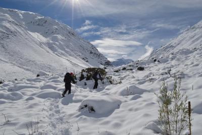 Experiencia de un día completo en raquetas con raquetas de nieve en Cajón del Maipo desde Santiago Experiencia de un día completo en raquetas con raquetas de nieve en Cajón del Maipo desde Santiago