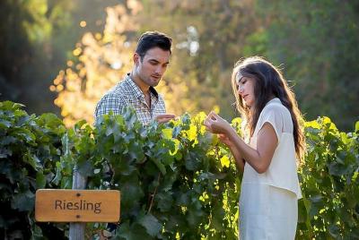 Lo mejor de Santiago de Chile y Mendoza en 7 días Lo mejor de Santiago de Chile y Mendoza en 7 días