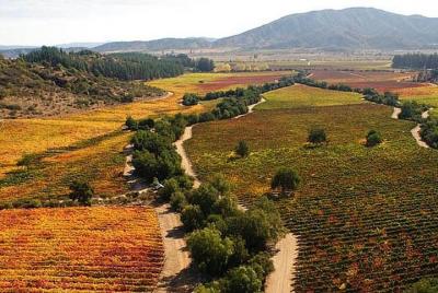 Valparaiso, Viña del Mar and Casablanca Experience  Valparaiso, Viña del Mar and Casablanca Experience