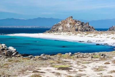 Viaje Privado por Carretera de 4 Días a La Serena y el Valle del Elqui: Pinguinos, Pisco y Estrellas Viaje Privado por Carretera de 4 Días a La Serena y el Valle del Elqui: Pinguinos, Pisco y Estrellas