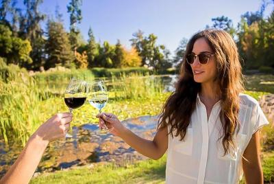 Lo mejor de 4 días de Santiago de Chile, incluyendo Viña, Valparaíso y 2 bodegas Lo mejor de 4 días de Santiago de Chile, incluyendo Viña, Valparaíso y 2 bodegas