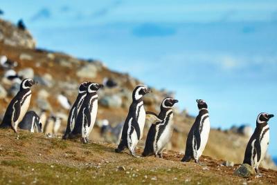 Tour de 13 días por Chile de norte a sur Tour de 13 días por Chile de norte a sur