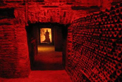 Tour privado por los viñedos de Concha y Toro