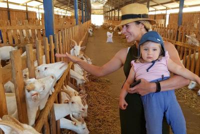Tour de agricultura y granjas locales en Chile Tour de agricultura y granjas locales en Chile