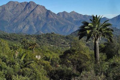 Caminata de Roblecitos de Darwin Caminata de Roblecitos de Darwin