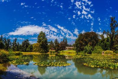 Recorrido por la bodega tradicional Concha y Toro desde Santiago Recorrido por la bodega tradicional Concha y Toro desde Santiago