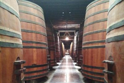 Historia, fútbol y Vino Historia, fútbol y Vino