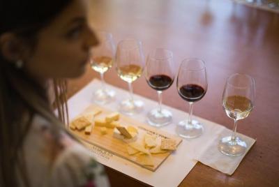 Visita a Marqués de Casa Concha Visita a Marqués de Casa Concha