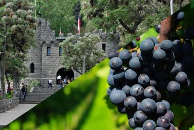 Recorrido privado de día completo a Santiago durante la escala Recorrido privado de día completo a Santiago durante la escala