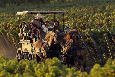 Excursión por la ruta del vino del Valle de Colchagua desde Santiago Excursión por la ruta del vino del Valle de Colchagua desde Santiago