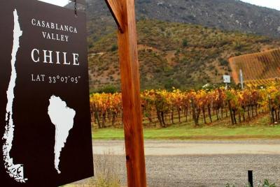 Excursión para grupos pequeños de día completo a Viña del Mar, Valparaíso, con excursión por las bodegas del Valle de Casablanca Excursión para grupos pequeños de día completo a Viña del Mar, Valparaíso, con excursión por las bodegas del Valle de Casablanca