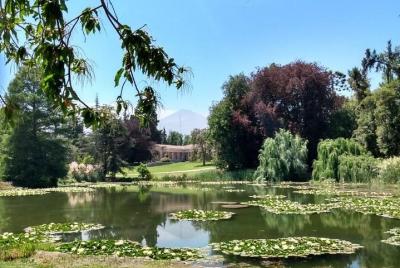 Tour viña Concha y toro Tour viña Concha y toro