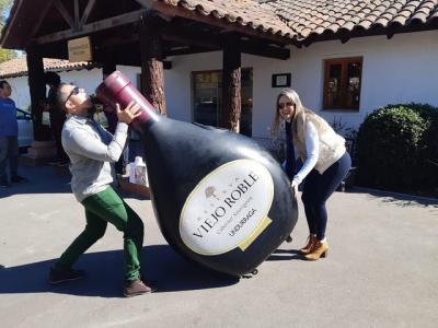 Traslado desde Valparaíso o San Antonio a Santiago + Isla Negra y tour del vino