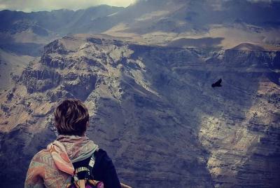 Traslado desde Valparaíso o Puerto de San Antonio + Tour de observación del cóndor